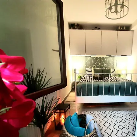 Aleksandry_ Ecco Balance Lägenhet