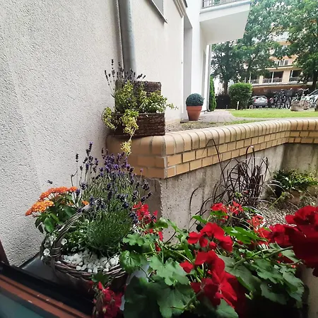 Aleksandry_ Ecco Balance Lägenhet *