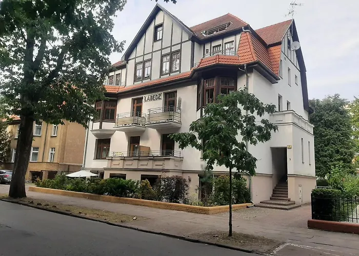 Aleksandry_ Ecco Balance